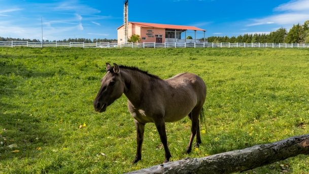 Muzeum w Popielnie, Stacja Badawcza - zdjęcie 8