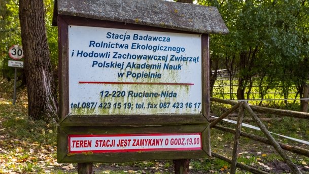 Muzeum w Popielnie, Stacja Badawcza - zdjęcie 7