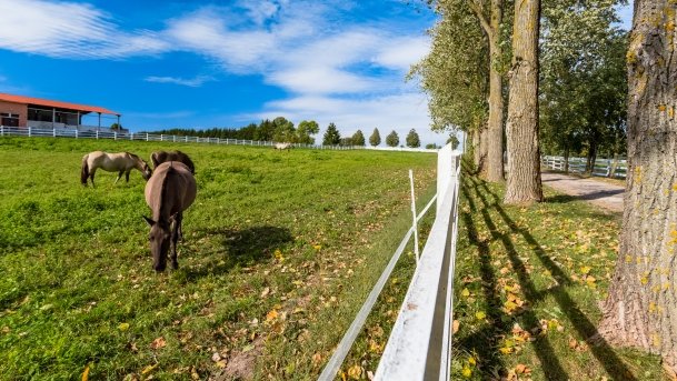 Muzeum w Popielnie, Stacja Badawcza - zdjęcie 5