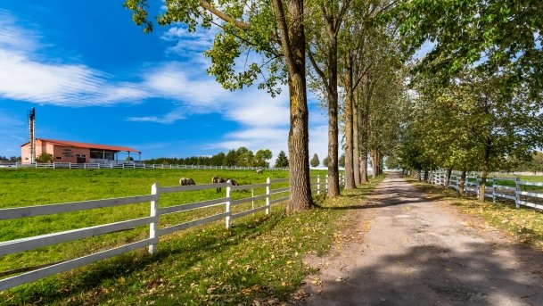 Muzeum w Popielnie, Stacja Badawcza - zdjęcie 4