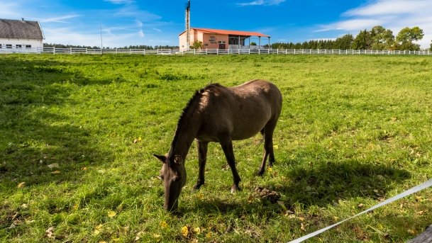 Muzeum w Popielnie, Stacja Badawcza - zdjęcie 3