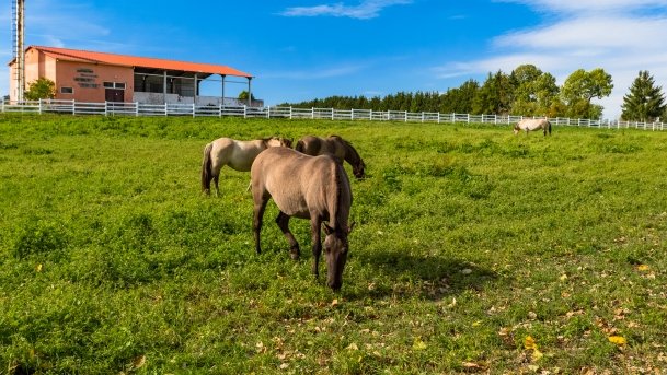 Muzeum w Popielnie, Stacja Badawcza - zdjęcie 2
