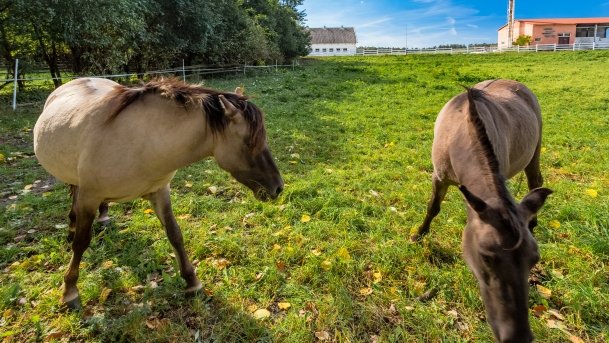 Muzeum w Popielnie, Stacja Badawcza - zdjęcie 1
