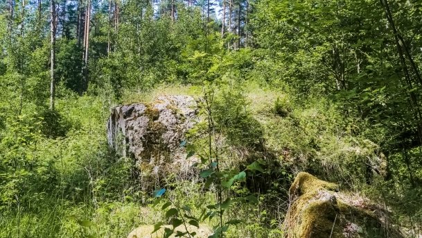 Polowa Kwatera Himmlera - zdjęcie 59