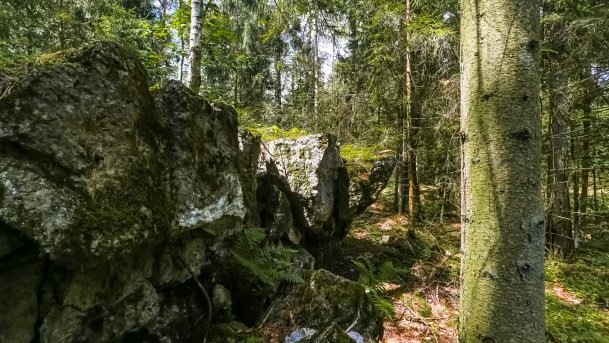 Polowa Kwatera Himmlera - zdjęcie 58