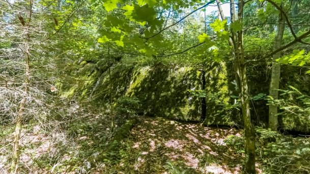 Polowa Kwatera Himmlera - zdjęcie 57