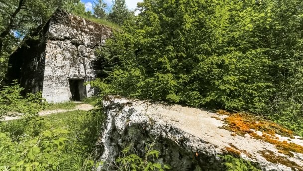 Polowa Kwatera Himmlera - zdjęcie 53