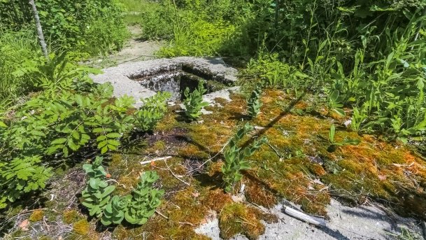 Polowa Kwatera Himmlera - zdjęcie 52