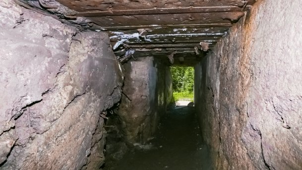 Polowa Kwatera Himmlera - zdjęcie 50