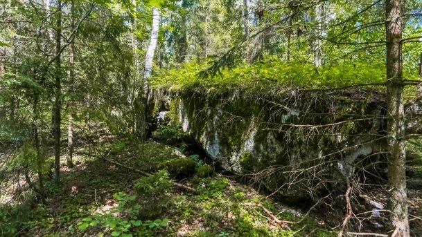 Polowa Kwatera Himmlera - zdjęcie 49