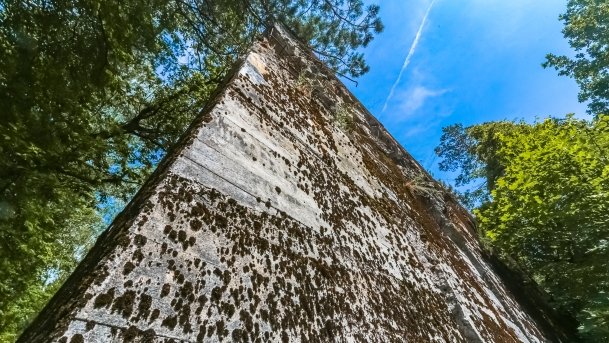 Polowa Kwatera Himmlera - zdjęcie 42