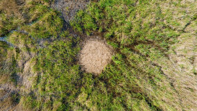 jezioro Kisajno - zdjęcie 20