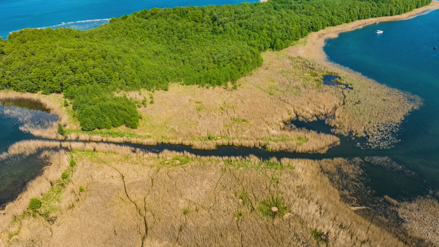 Wyspa Wielka Kiermuza - zdjęcie 1