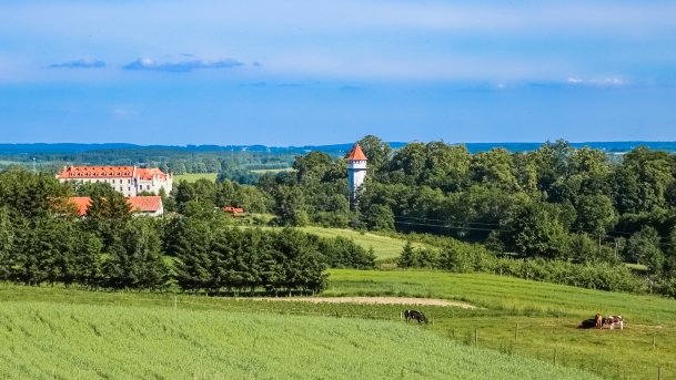 Zamek Krzyżacki w Rynie - zdjęcie 26