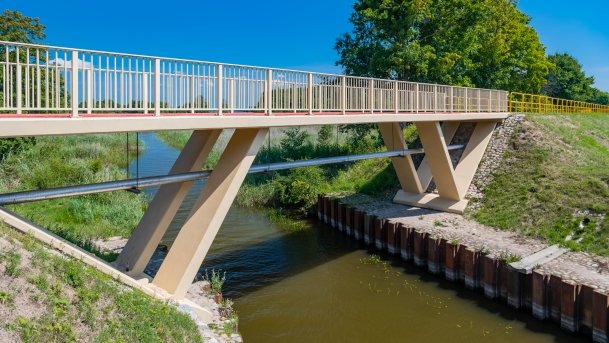 Ogonki - zdjęcie 40