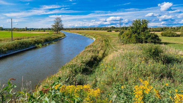 Kanał Jegliński - zdjęcie 42