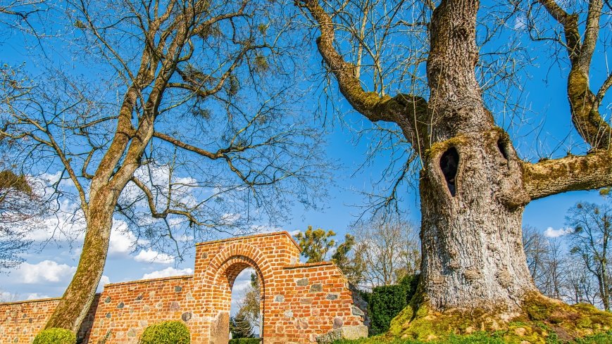 Pałac Nakomiady - zdjęcie 1