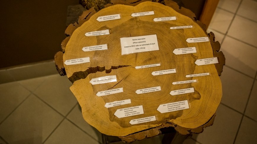 Ośrodek Edukacji Przyrodniczo - Kulturowej w Krutyni - zdjęcie 1
