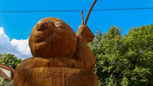 Muzeum Przyrodnicze Krutyń - zdjęcie 11