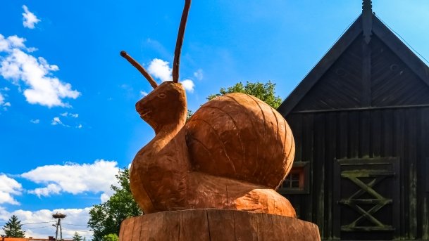 Muzeum Przyrodnicze Krutyń - zdjęcie 10