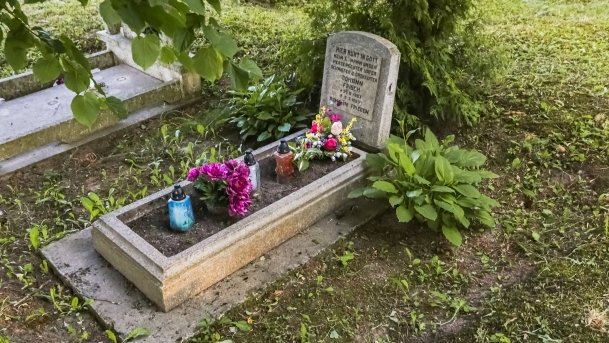 Zabytkowy Cmentarz Ewangelicki - zdjęcie 8