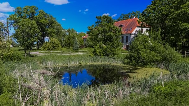 Dworek w Baranowie - zdjęcie 11