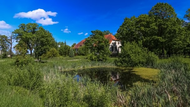 Dworek w Baranowie - zdjęcie 10