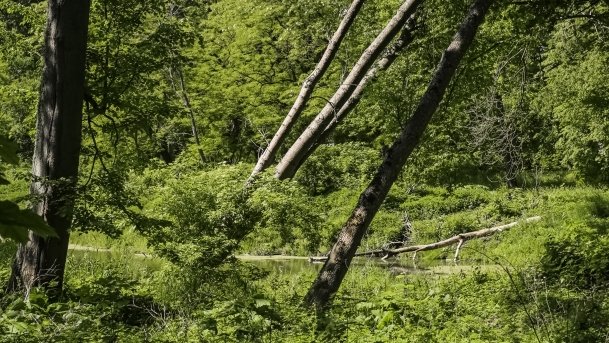 Dworek w Baranowie - zdjęcie 8