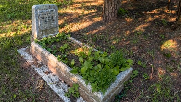 Zabytkowy Cmentarz Ewangelicki w Pieckach - zdjęcie 12