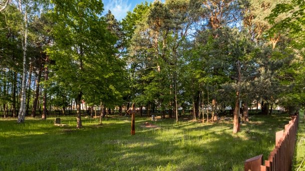 Zabytkowy Cmentarz Ewangelicki w Pieckach - zdjęcie 9