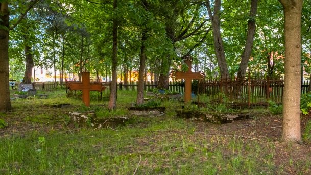 Zabytkowy Cmentarz Ewangelicki w Pieckach - zdjęcie 4