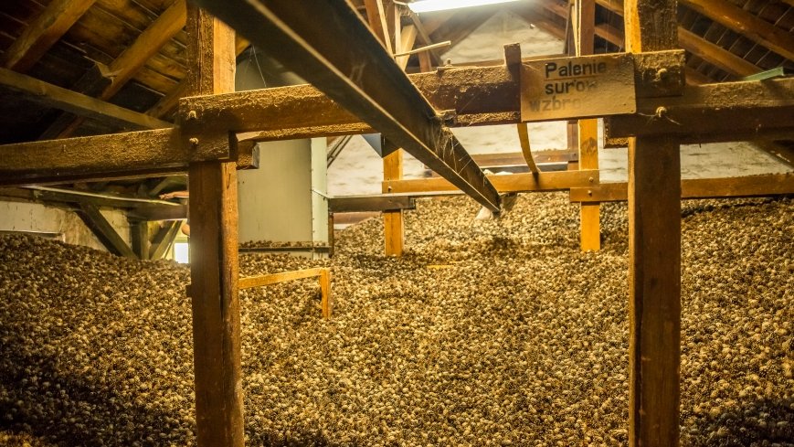 Zabytkowa Wyłuszczarnia Nasion w Rucianem-Nidzie  - zdjęcie 1