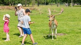 Park Dzikich Zwierząt w Kadzidłowe 2022