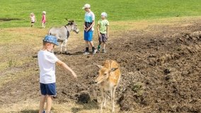 Park Dzikich Zwierząt w Kadzidłowe 2022