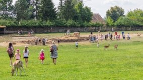 Park Dzikich Zwierząt w Kadzidłowe 2022