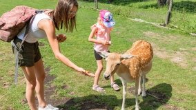 Park Dzikich Zwierząt w Kadzidłowe 2022