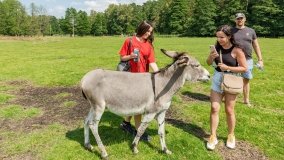 Park Dzikich Zwierząt w Kadzidłowe 2022