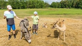 Park Dzikich Zwierząt w Kadzidłowe 2022