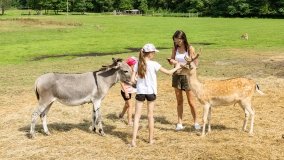 Park Dzikich Zwierząt w Kadzidłowe 2022