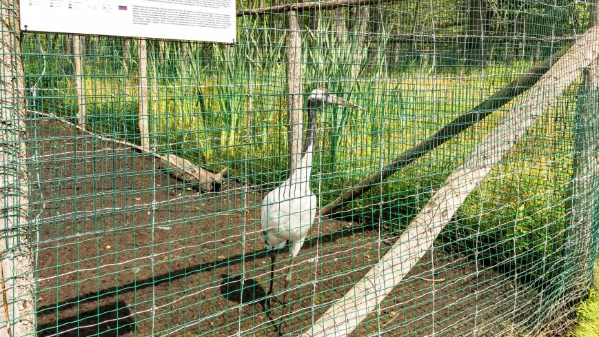 Park Dzikich Zwierząt - zdjęcie 1