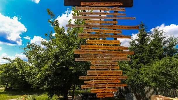 Park Dzikich Zwierząt - zdjęcie 15