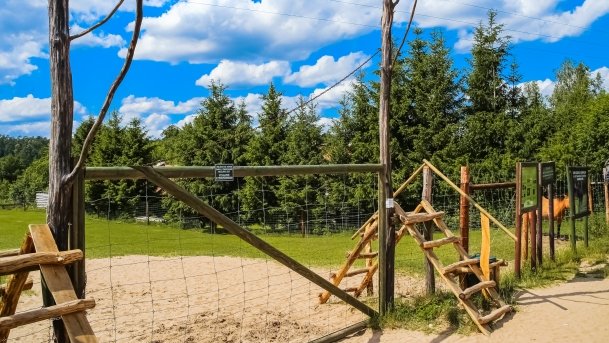 Park Dzikich Zwierząt - zdjęcie 12