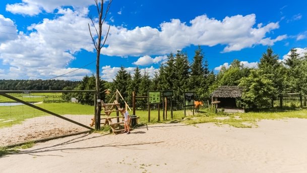 Park Dzikich Zwierząt - zdjęcie 10