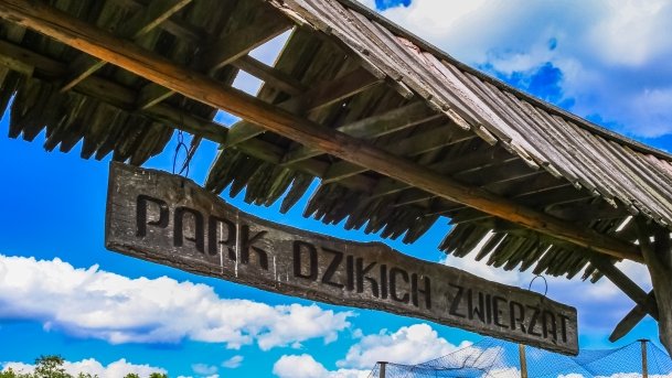 Park Dzikich Zwierząt - zdjęcie 5