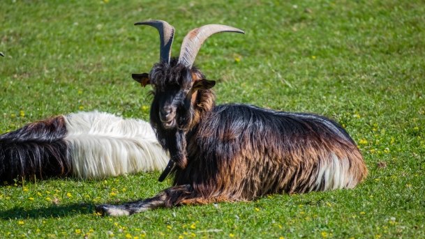 Gospodarstwo Eulalii - zdjęcie 40