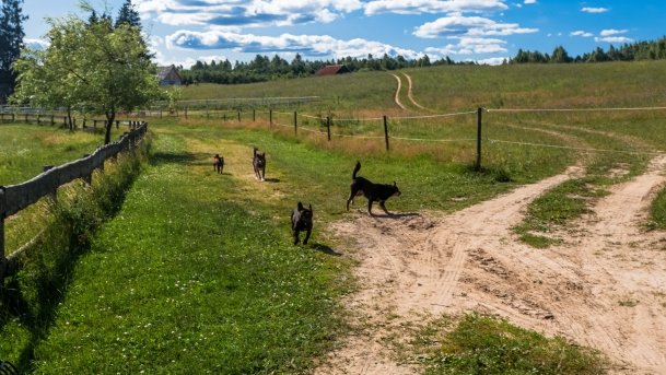 Gospodarstwo Eulalii - zdjęcie 35