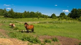 Gospodarstwo Eulalii