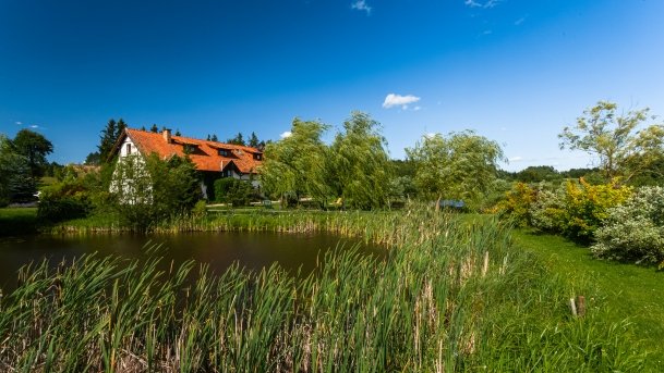 Gospodarstwo Eulalii - zdjęcie 23