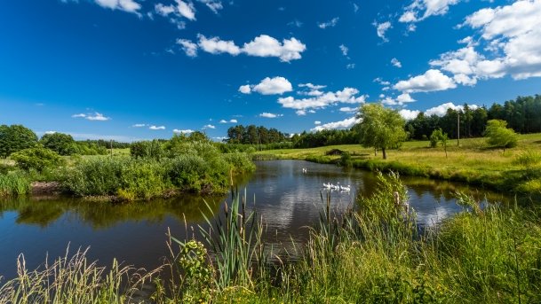 Gospodarstwo Eulalii - zdjęcie 20