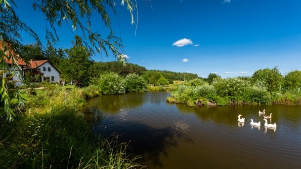 Gospodarstwo Eulalii - zdjęcie 19